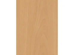 Türzarge CPL Buche Blumig Nachb. (GL880) 86 cm x 198,5 cm x 10 cm Anschlag L