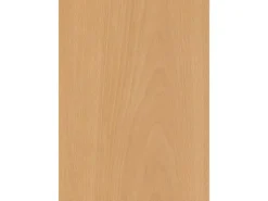 Türzarge CPL Buche Blumig Nachb. (GL880) 86 cm x 198,5 cm x 16,5 cm Anschlag L
