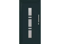 vidaXL Haustür Anthrazit PVC 3385779