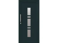 vidaXL Haustür Anthrazit PVC 3385775