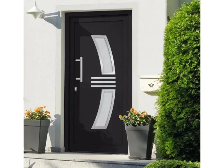 vidaXL Haustür Anthrazit 88x200 cm 3057570