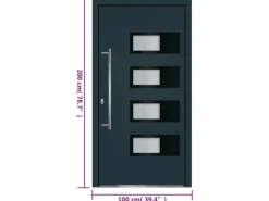 vidaXL Haustür Anthrazit 100x200 cm Aluminium und PVC 3157071