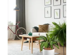 Westland Tongranulat Blähton 10 l