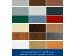 ZK-Tür-Element eingehängt Verzinkt 750 mm x 2000 mm x 80 mm DIN Rechts