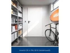 ZK-Tür-Element eingehängt Verzinkt 750 mm x 2000 mm x 80 mm DIN Rechts